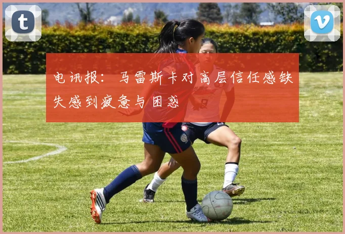 电讯报：马雷斯卡对高层信任感缺失感到疲惫与困惑