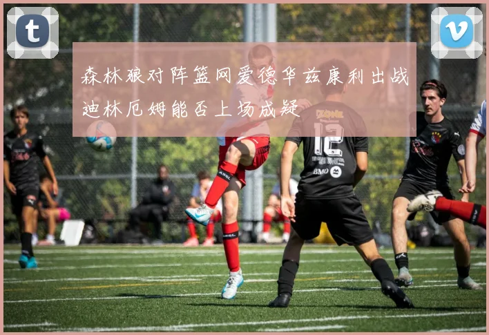 森林狼对阵篮网爱德华兹康利出战迪林厄姆能否上场成疑