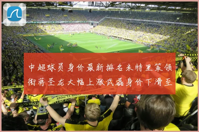 中超球员身价最新排名米特里策领衔蒋圣龙大幅上涨武磊身价下滑至50万