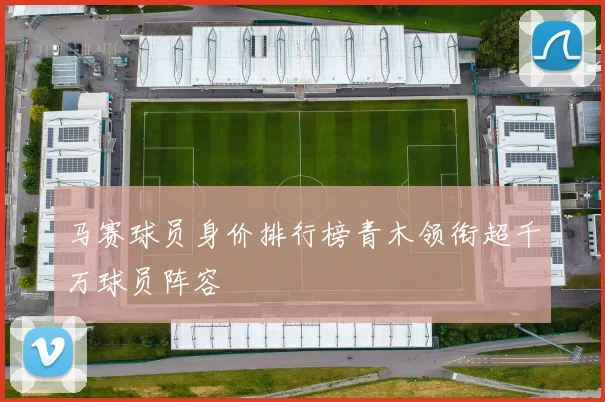 马赛球员身价排行榜青木领衔超千万球员阵容