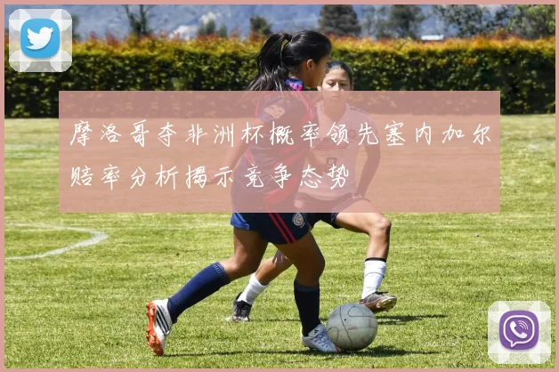 摩洛哥夺非洲杯概率领先塞内加尔赔率分析揭示竞争态势